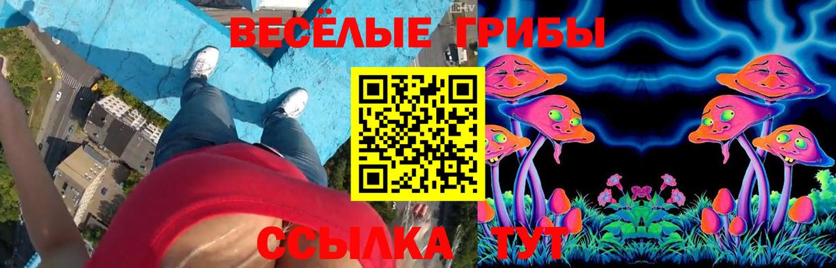 Ханты-Мансийск  магазин    Галлюциногенные грибы Cubensis  Вход с VPN  Псилоцибиновые грибы Magic Shrooms 
